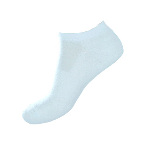67% Fine Merino Terry Cushion Sole Sport Sock Style 36A