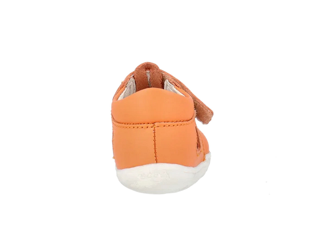 Step Up Zap Apricot Crush