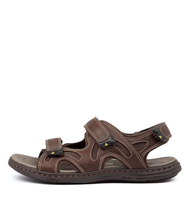 Darwin Sandal Brown