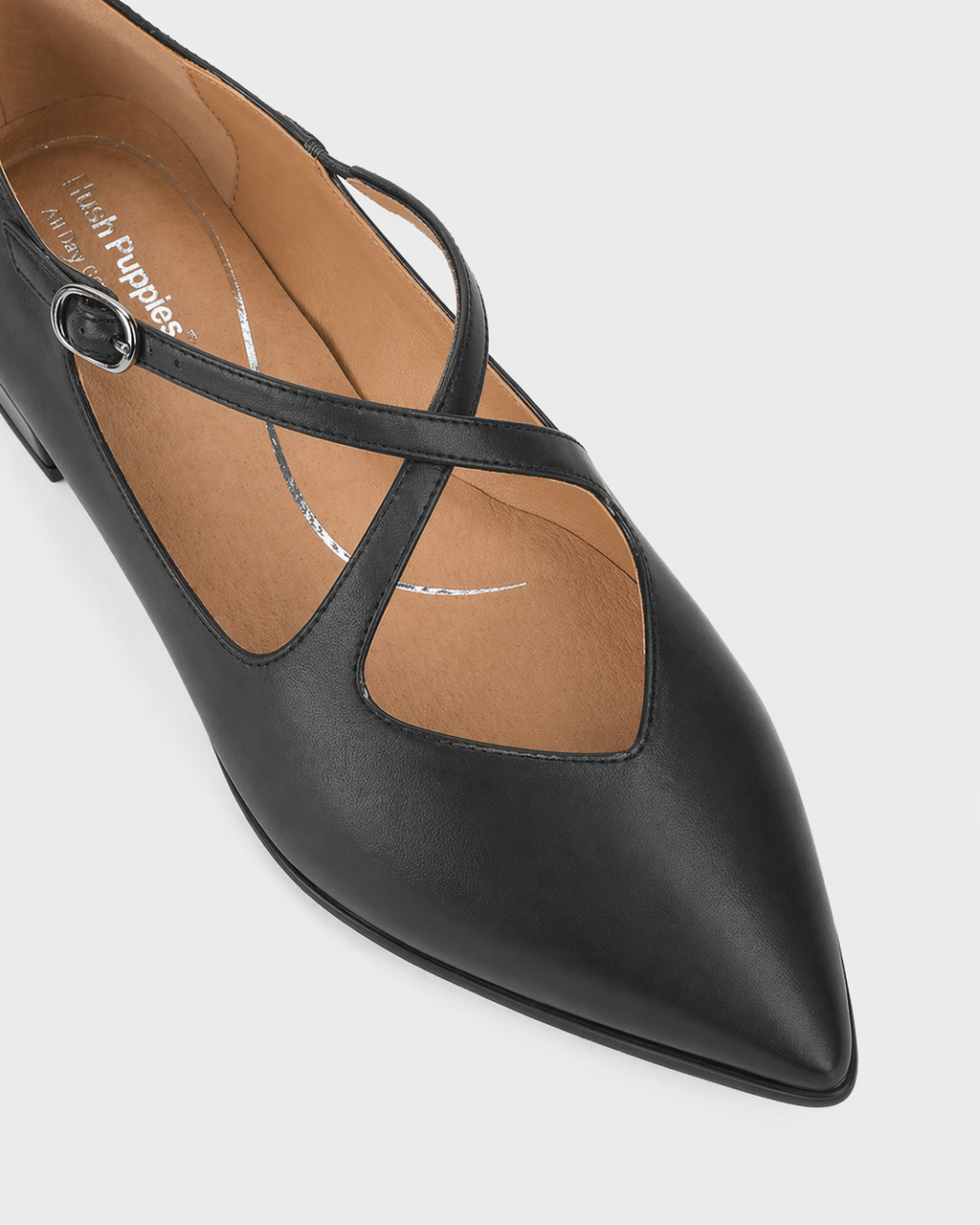 Aster Black
