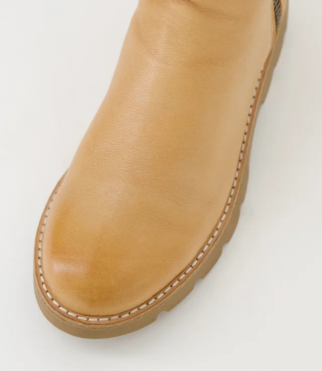 Dixeya Dark Tan Light Choc Leather Ankle Boots