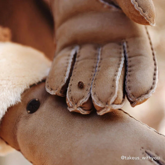 Apollo Bay Gloves Chestnut (Dark)